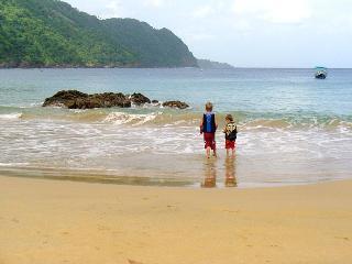Seascape On Heavenly Bay Apartment Castara Bagian luar foto