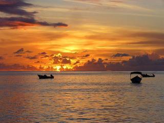 Seascape On Heavenly Bay Apartment Castara Bagian luar foto